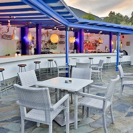 Delphi 4*